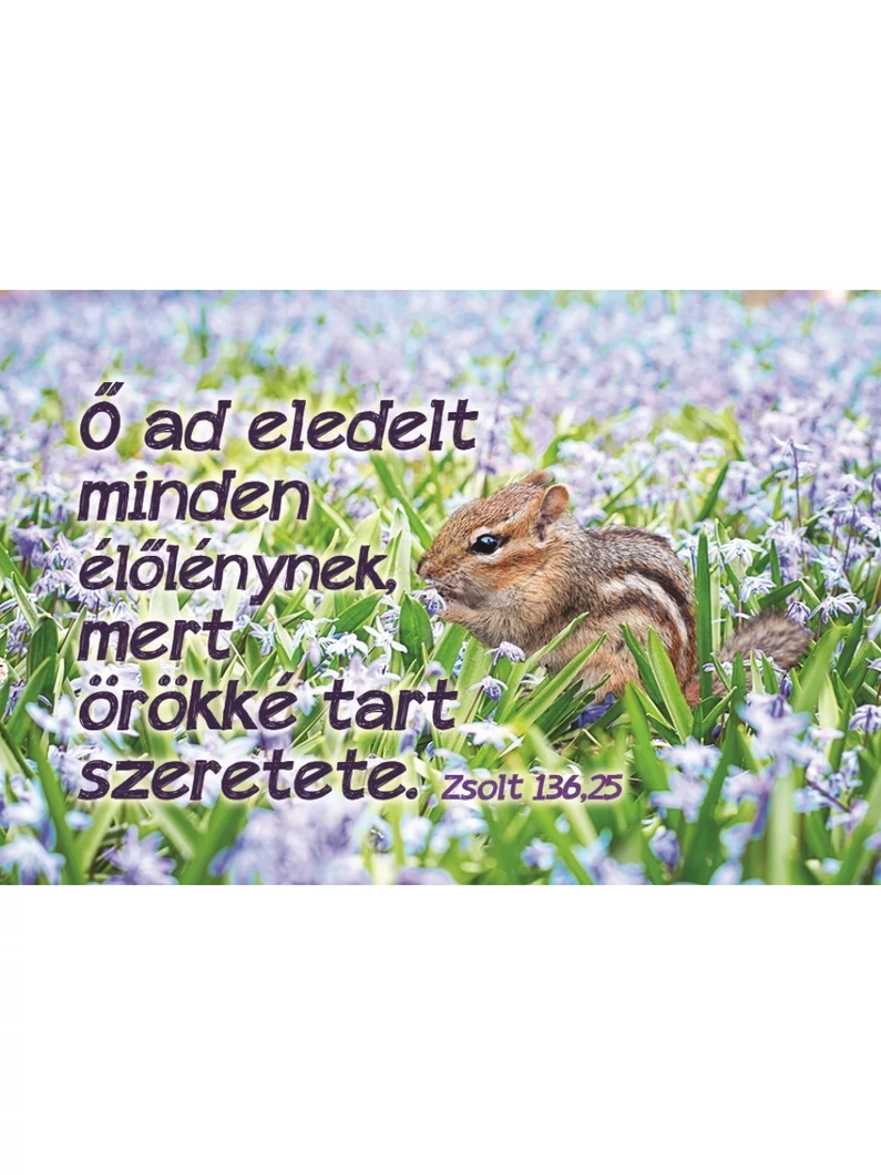 Ő ad eledelt... – Minikártya csomag (T77)