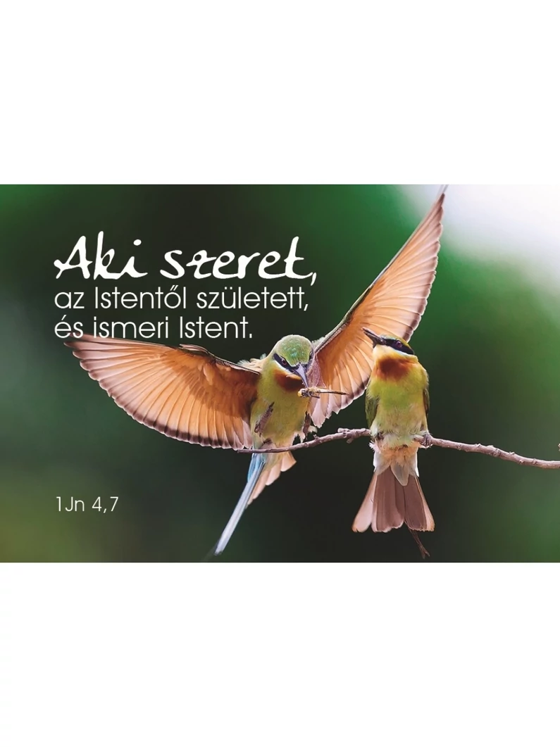 Aki szeret, az Istentől született... – Minikártya csomag (T78)