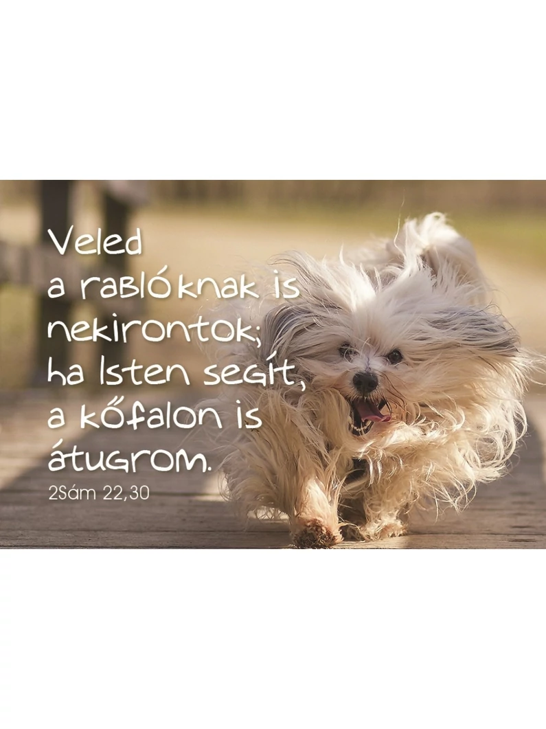 Veled a rablóknak is nekirontok... – Minikártya csomag (T81)