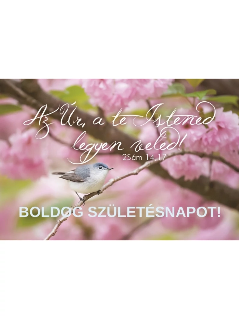Az Úr, a te Istened legyen veled! (születésnap)  – Minikártya csomag (T82)
