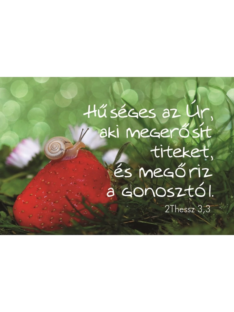 Hűséges az Úr, aki megerősít... – Minikártya csomag (T86)