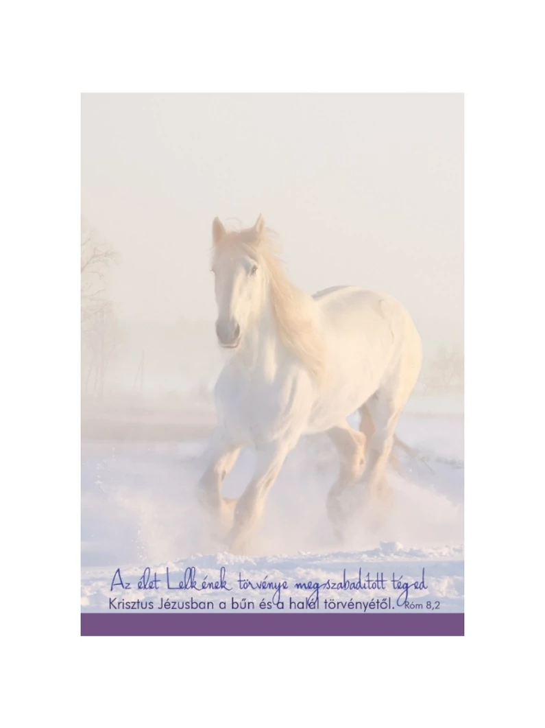 Az élet Lelkének törvénye megszabadított téged... – Jegyzettömb, nagy