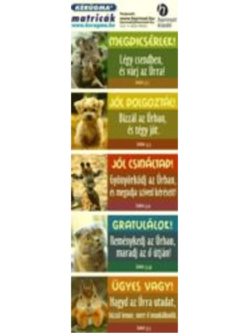 Matrica (1503) – Koala – Megdícsérlek!