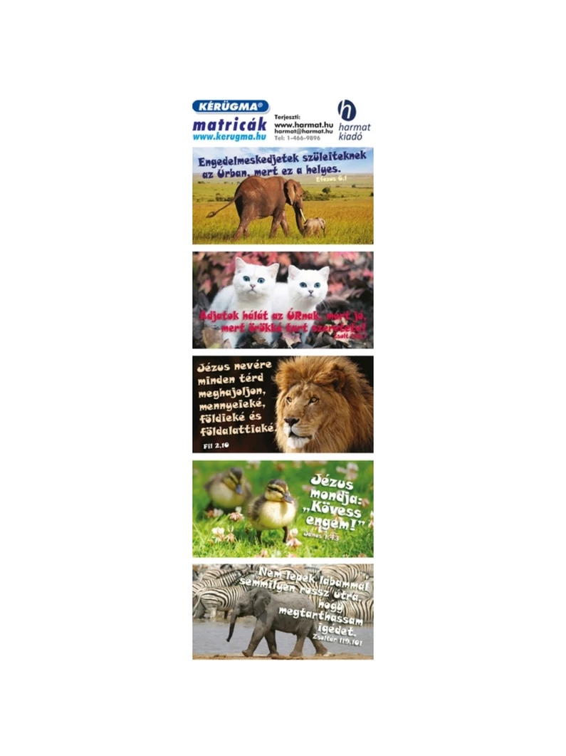 Matrica (1507) – Elefánt – Engedelmeskedjetek szüleiteknek...