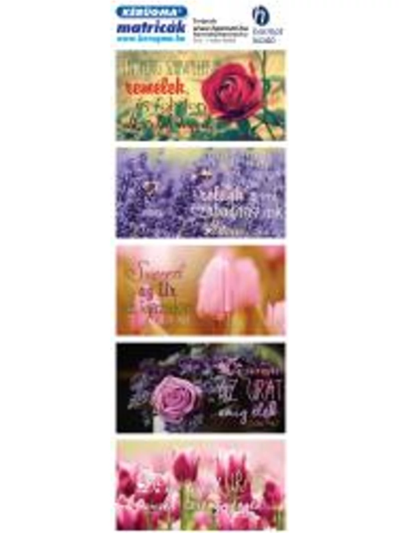 Matrica (1519) – Rózsa – Én pedig szüntelen remélek...