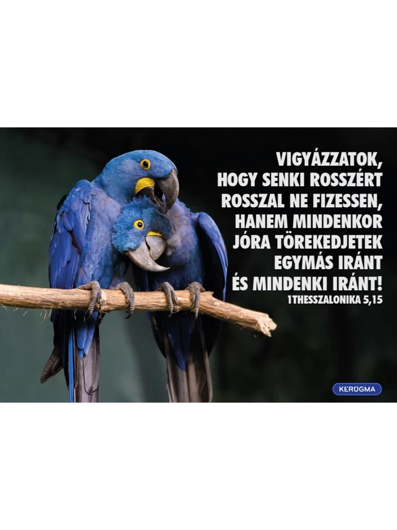 Vigyázzatok – képeslap csomag (10 db)