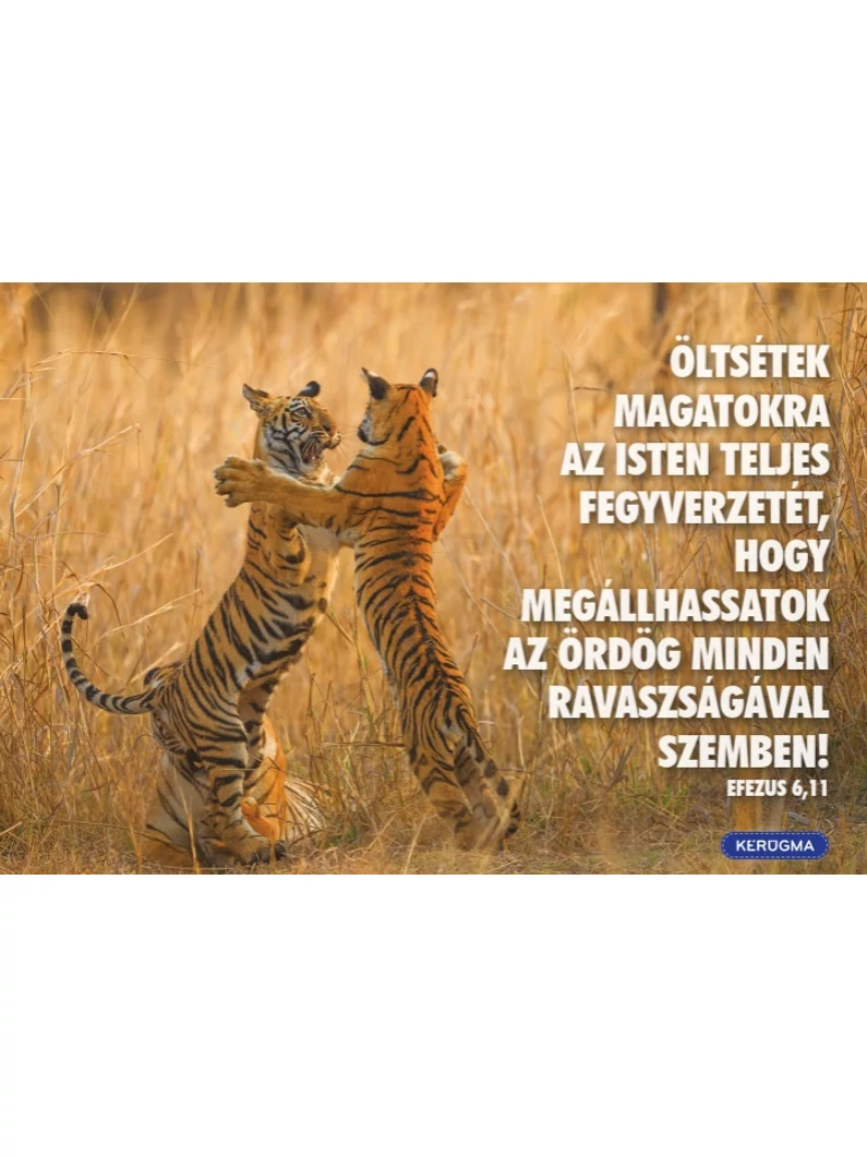 Képeslapcsomag, vegyes (fekvő) – Jótanácsok az Efezusi levélből – 14 db/csomag