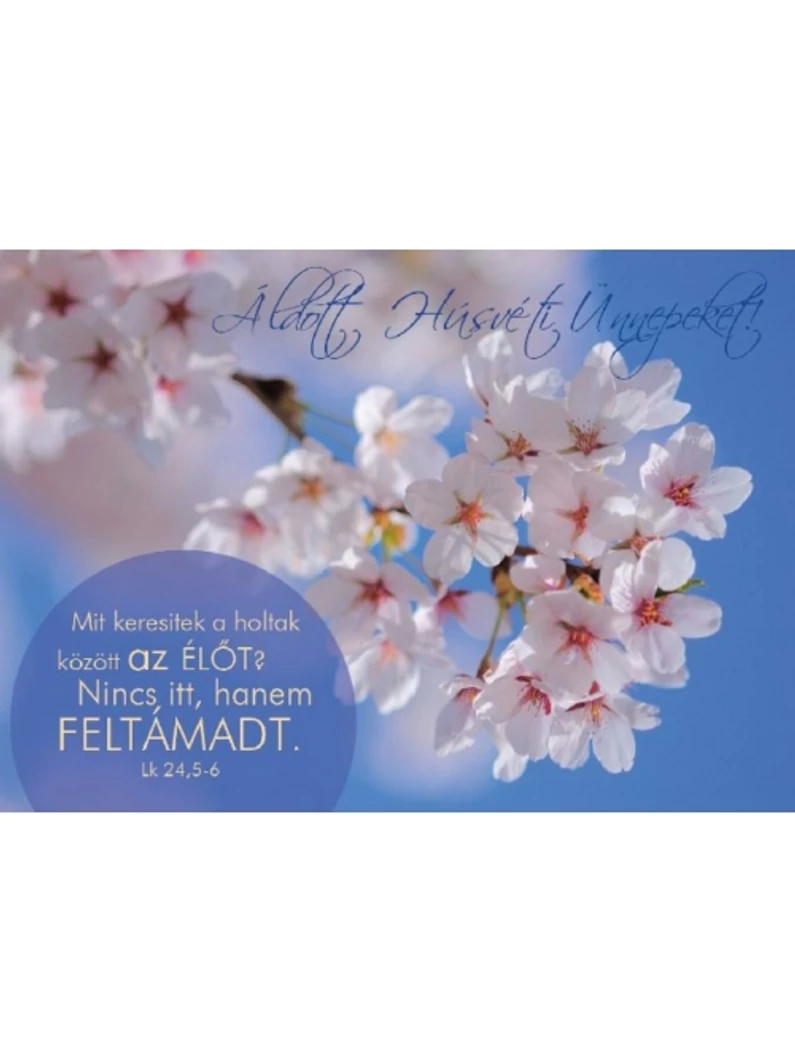 Mit keresitek a holtak között...– Cseresznyevirág – Húsvéti képeslap csomag