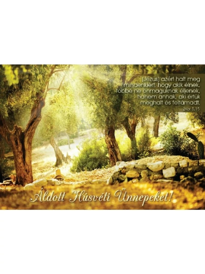 Azért halt meg mindenkiért... – Olajfa – Húsvéti képeslap csomag
