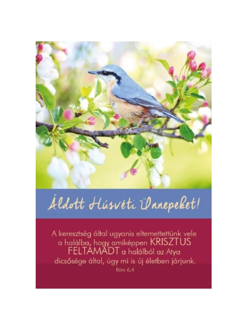A keresztség által ugyanis – Madár – Húsvéti képeslap csomag