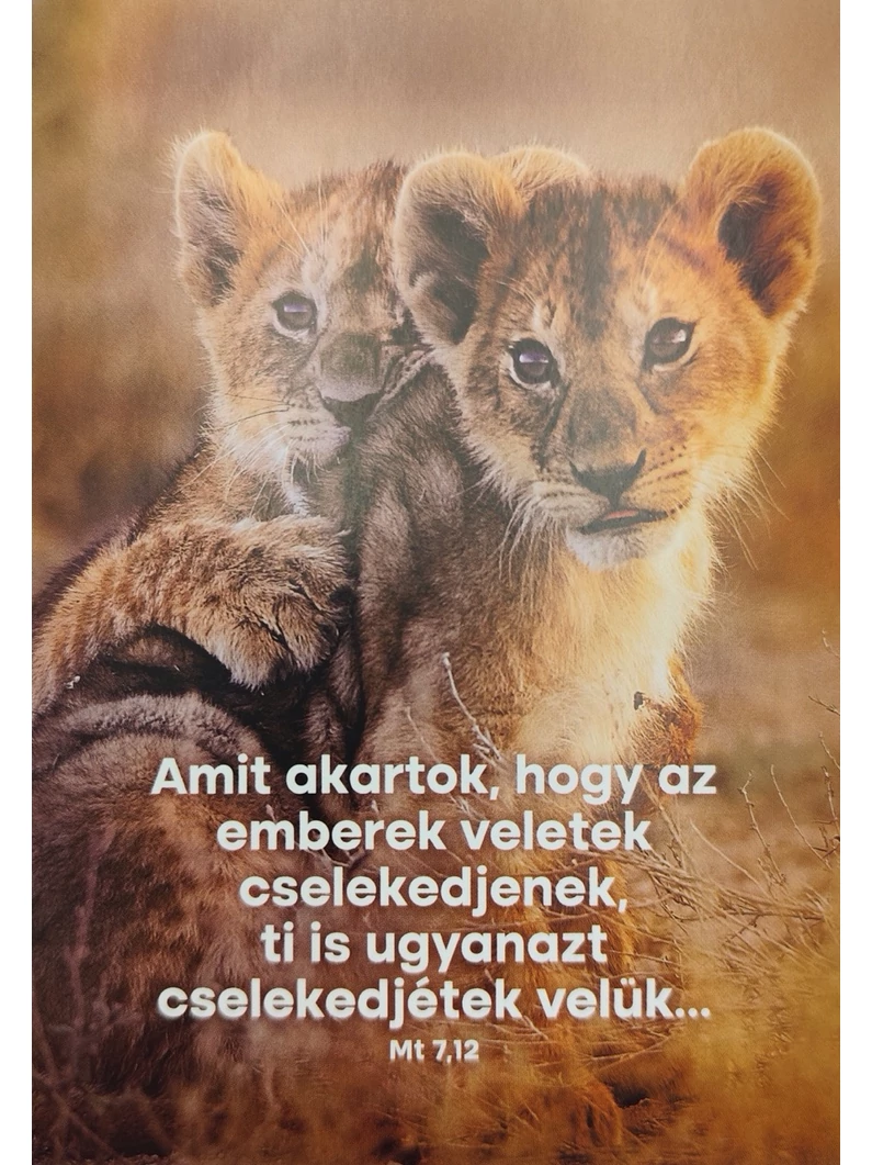 Képeslapcsomag, vegyes (álló) – Jézus bátorító szavai – 14 db/csomag