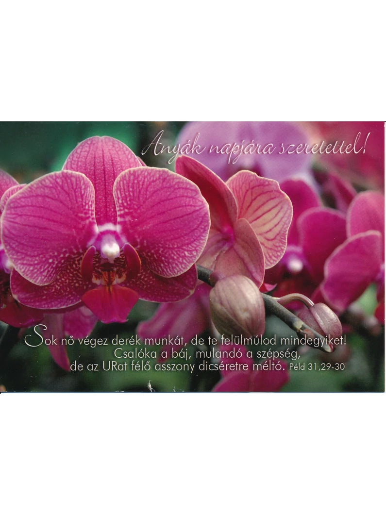 Sok nő végez derék munkát... (Anyák napja) – Képeslap csomag (KE-M2)