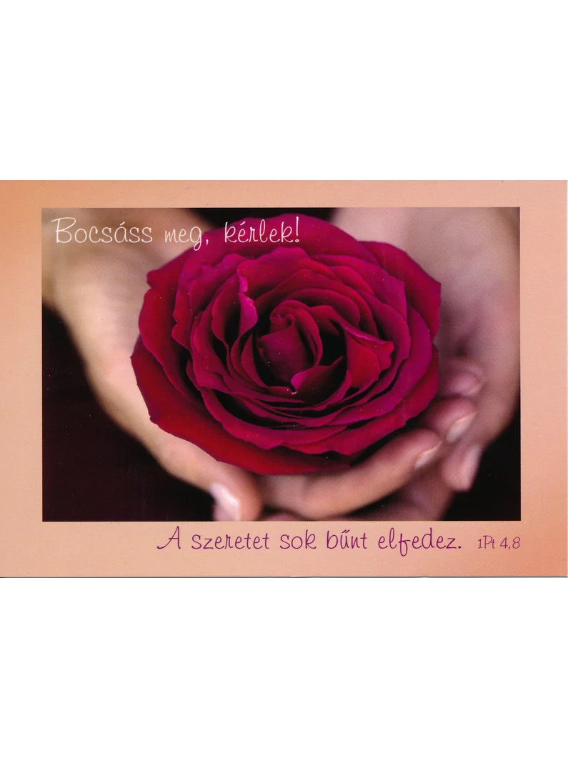 A szeretet sok bűnt elfedez (bocsánatkérés) – Képeslap csomag (KE-P14)
