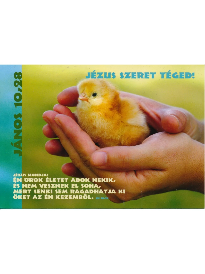 Én örök életet adok nekik... – Képeslap csomag (KE-T08)