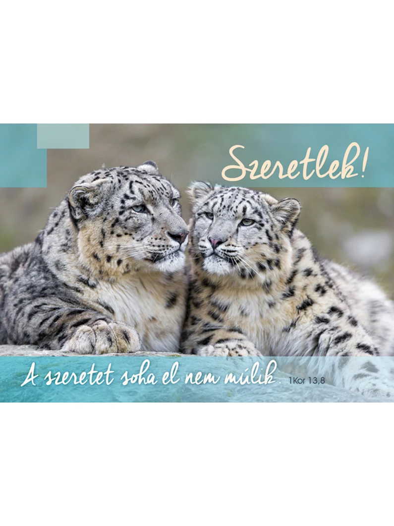 A szeretet soha el nem múlik – Képeslap csomag (KE-U10)