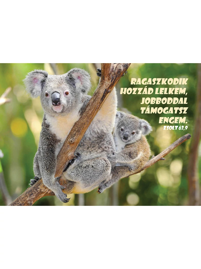 Ragaszkodik hozzád lelkem... – Képeslap csomag (KE-V1)