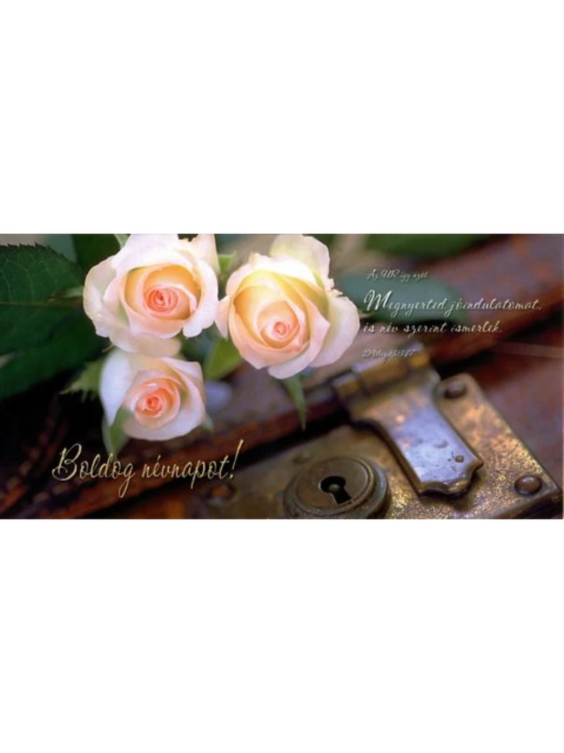 Megnyerted jóindulatomat... (névnap) – Borítékos képeslap