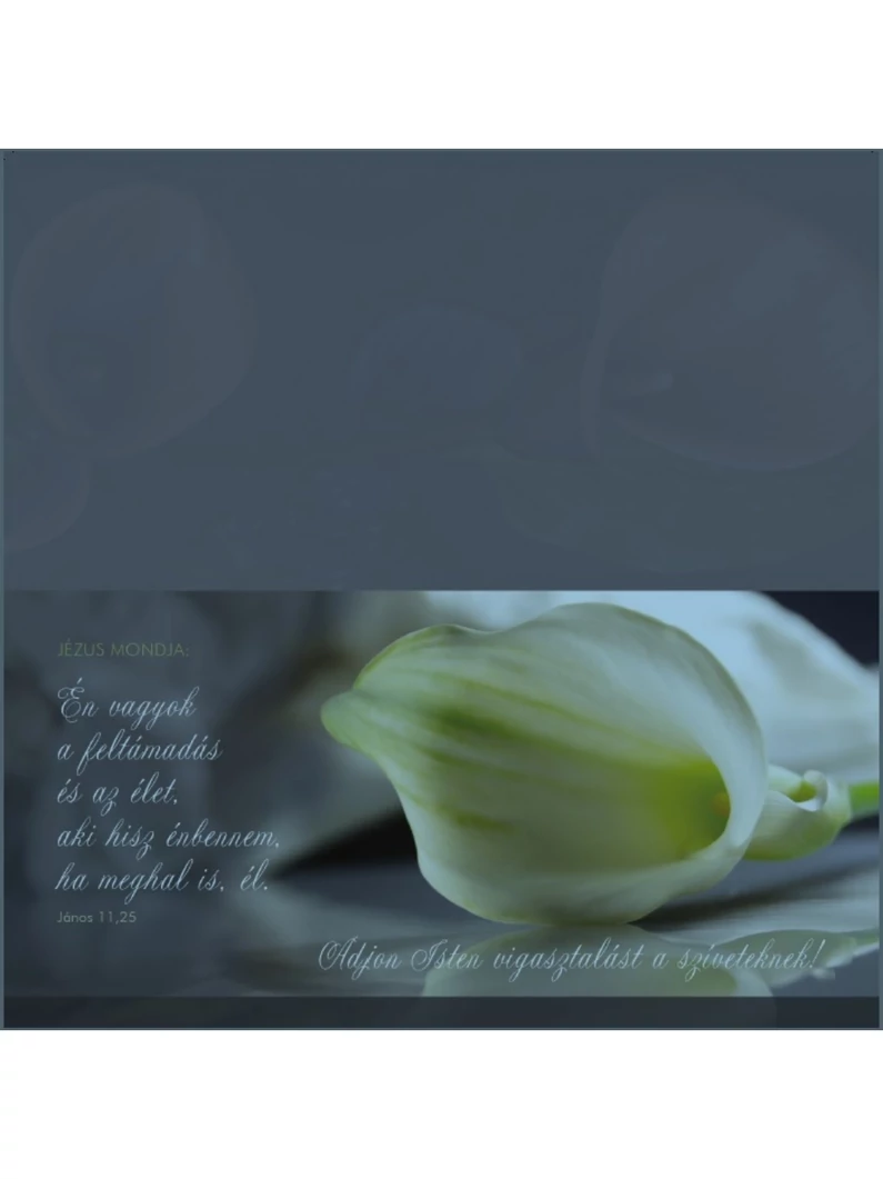 Én vagyok a feltámadás és az élet... (részvét) – Borítékos képeslap