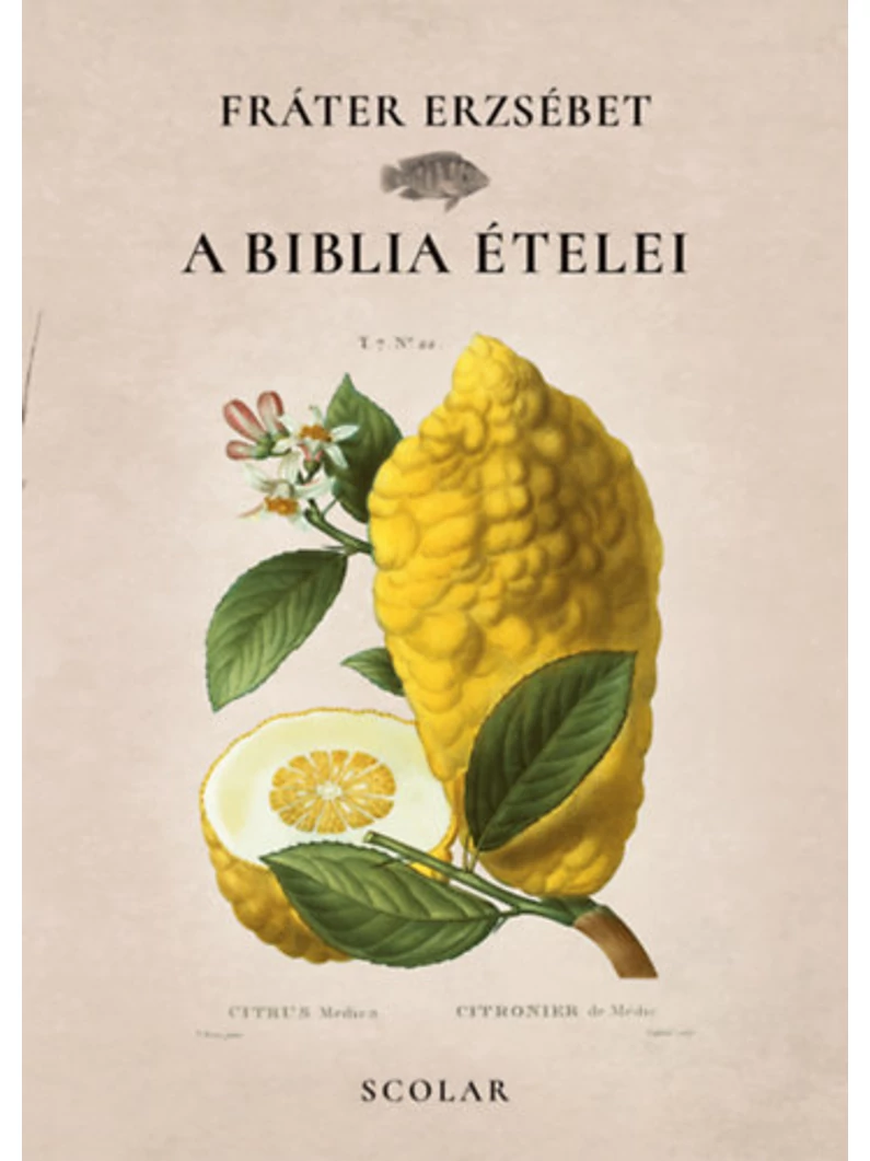 A Biblia ételei – Fráter Erzsébet