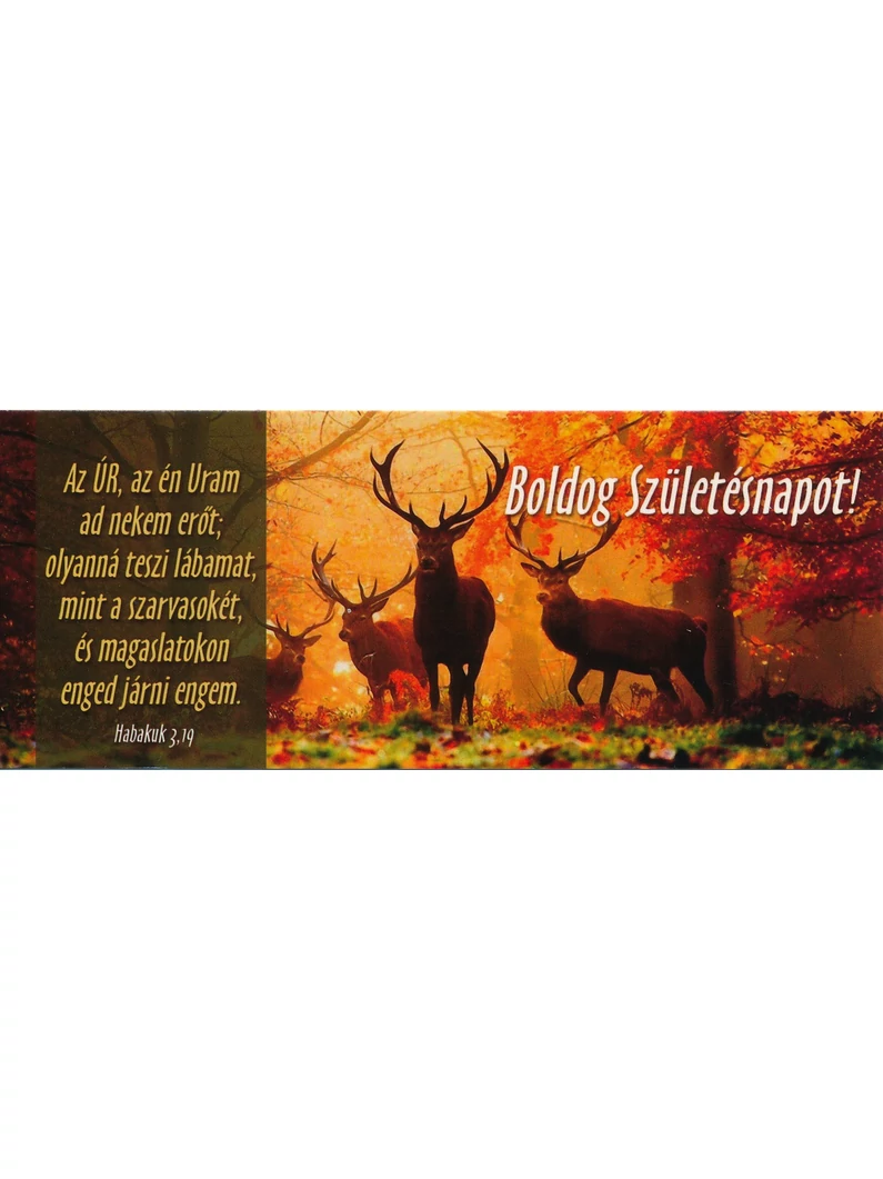 Az Úr, az én Uram ad nekem erőt... (születésnap) – Könyvjelző csomag (KJ-I15)