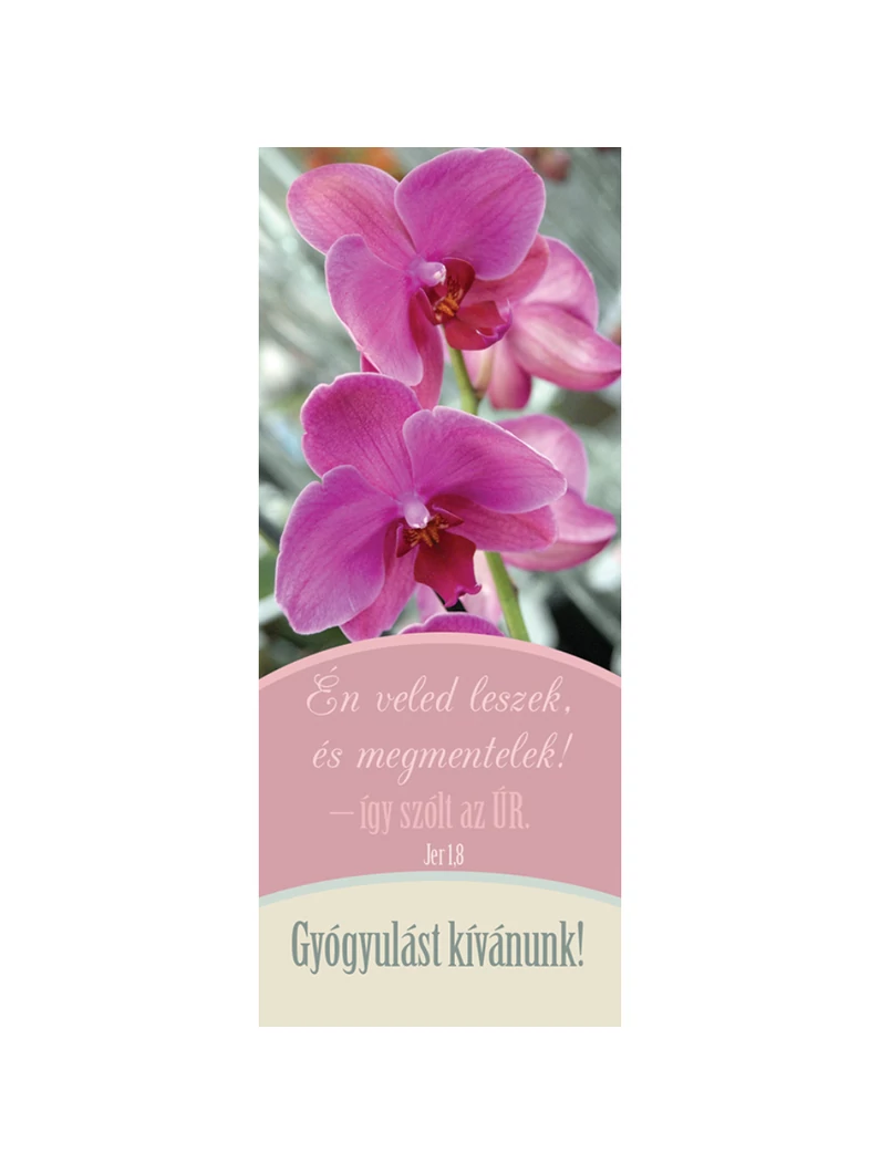 Gyógyulást kívánunk! – Könyvjelző csomag (KJ-I28)