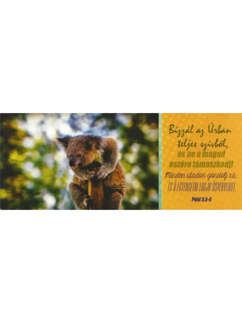 Bízzál az Úrban teljes szívből... – Könyvjelző csomag (KJ-J01)