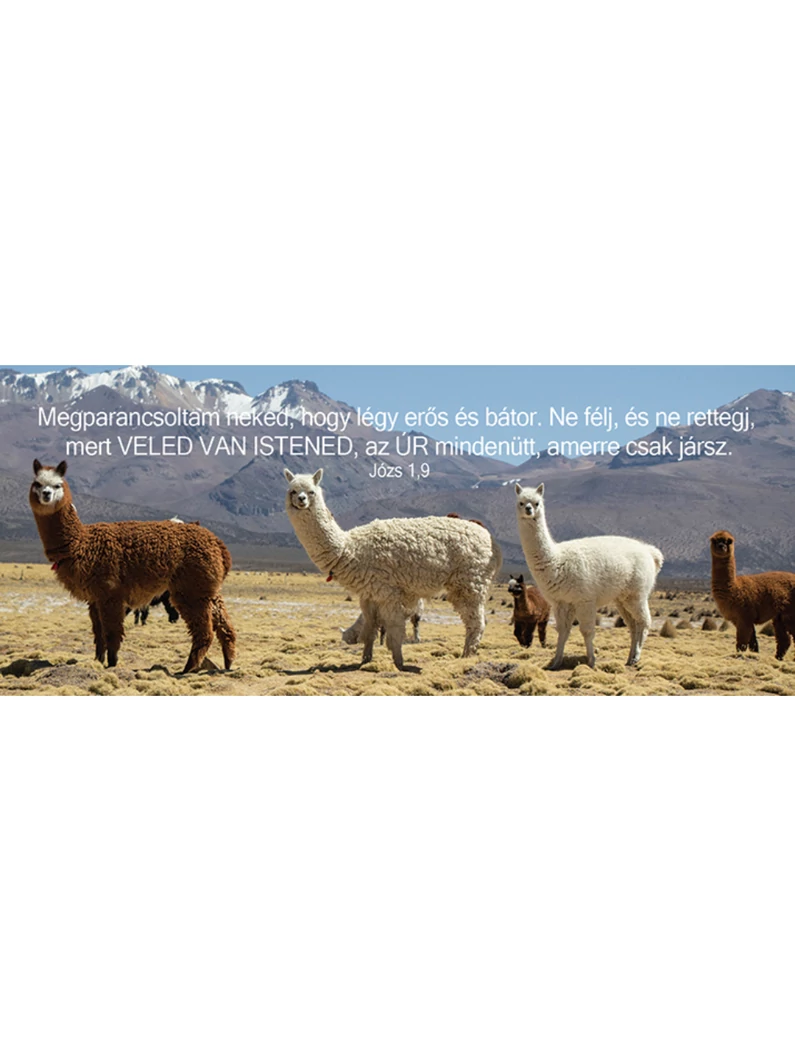 Megparancsoltam neked, hogy légy erős és bátor... – Könyvjelző csomag (KJ-K02)