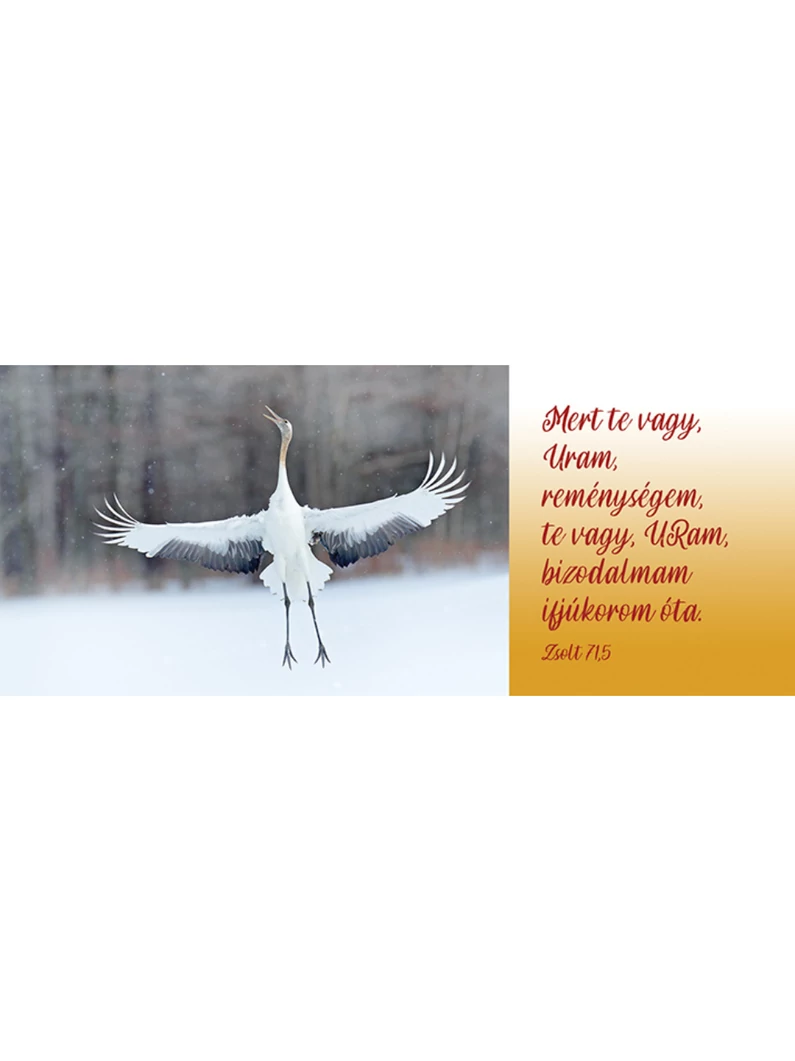 Mert te vagy Uram reménységem – Könyvjelző csomag (KJ-K22)
