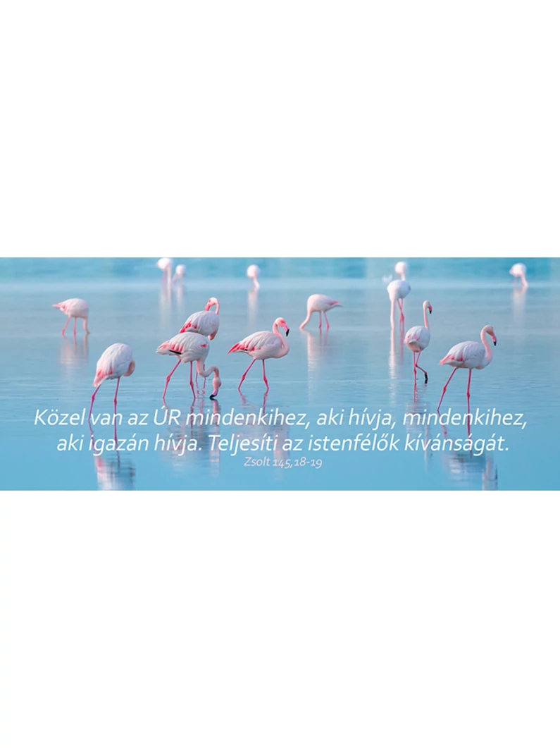 Közel van az Úr mindenkihez... – Könyvjelző csomag (KJ-K24)