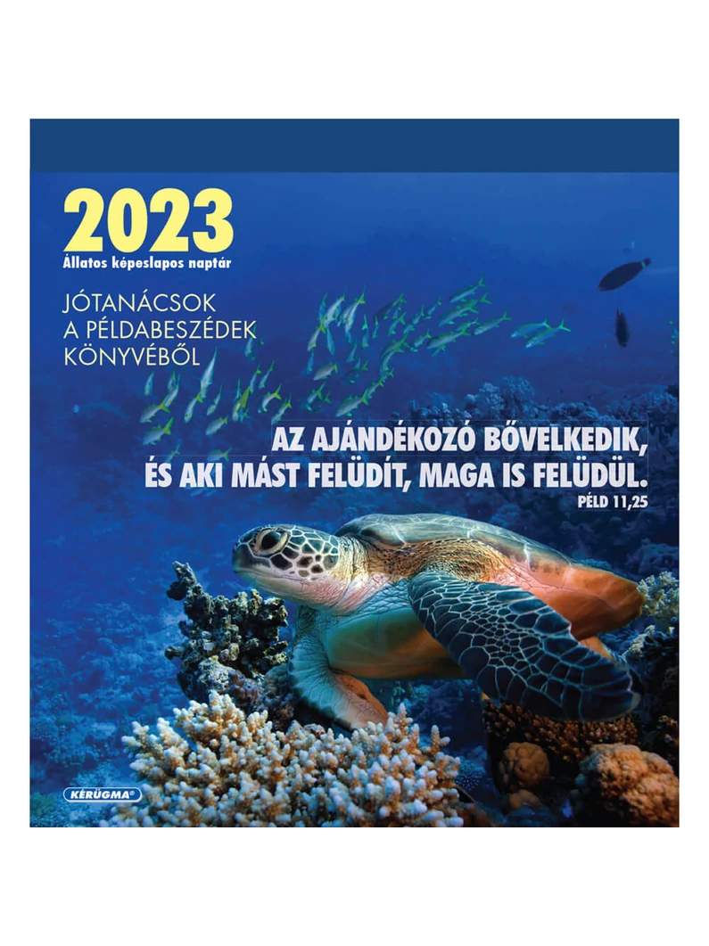 Képeslapnaptár 2023 – Teknős, Jótanácsok a Példabeszédek könyvéből