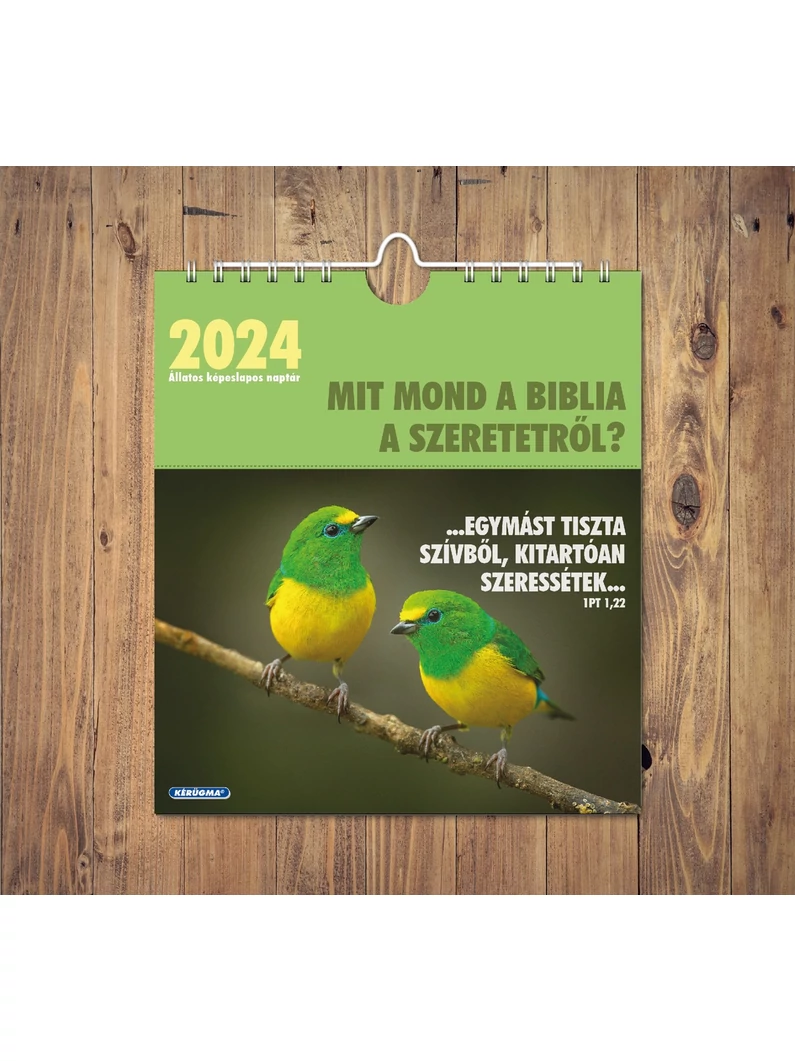 Falinaptár 2024 – képeslapos, spirál – Mit mond a Biblia a szeretetről?