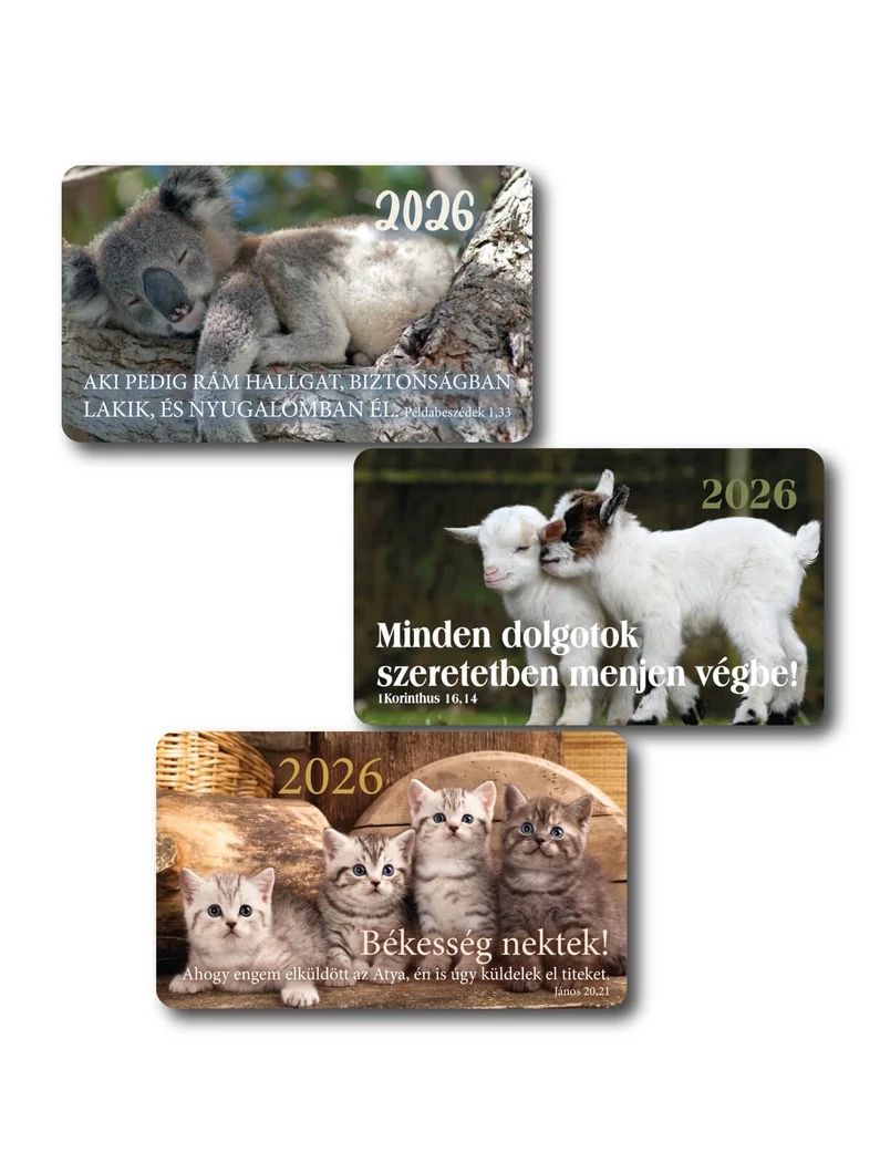 2026 Kártyanaptár csomag (3x10 db) – cica, kecske, koala