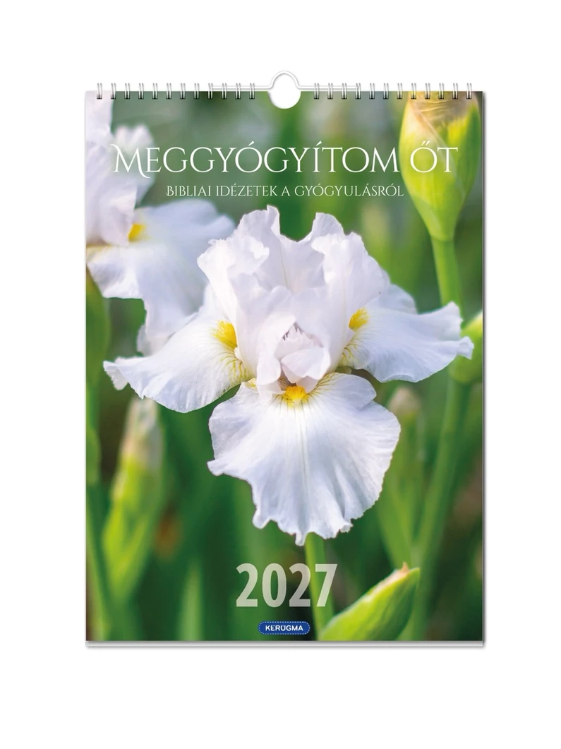 2027 Falinaptár – spirál, nagy, virágos – Meggyógyítom őt