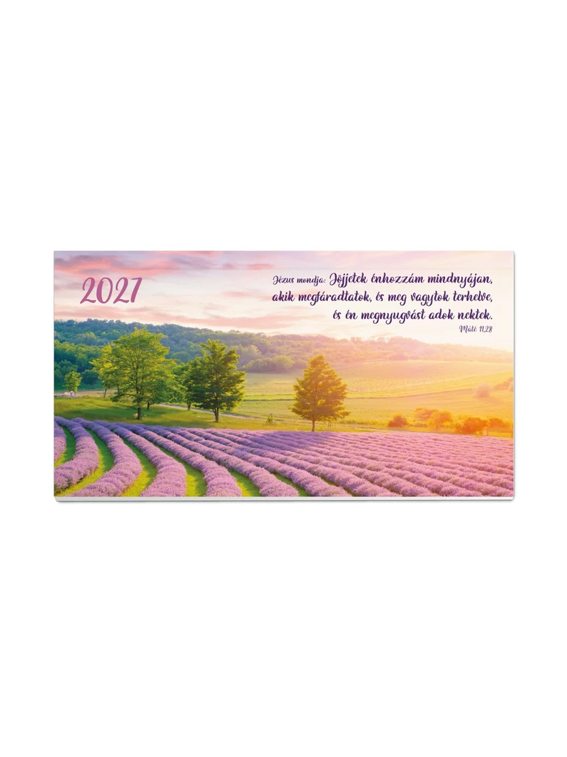 2027 Zsebnaptár – levendulás